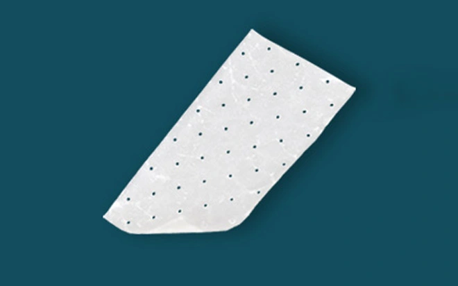 Ghép thoát vị sinh học