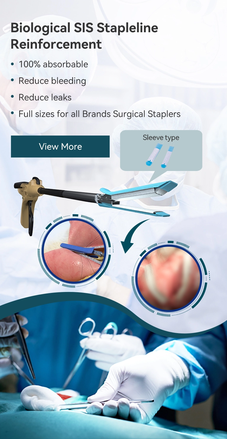 Gia cố gai sinh học