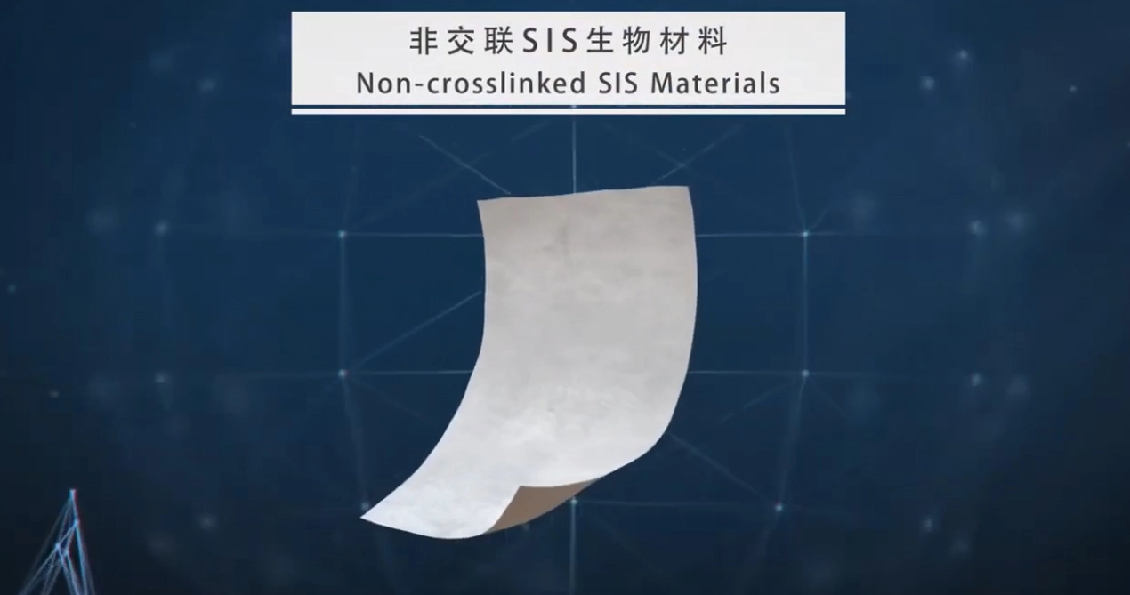 Sis bioresorbable Mesh