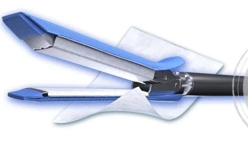 Giải thích đồng thuận | sự đồng thuận của chuyên gia Về Các Chiến Lược Quản lý rò rỉ không khí phổi kéo dài trong phẫu thuật lồng ngực phẫu thuật và lợi ích lâm sàng của Ma Trận Ngoại bào dưới niêm mạc ruột non không liên kết chéo (Sis)