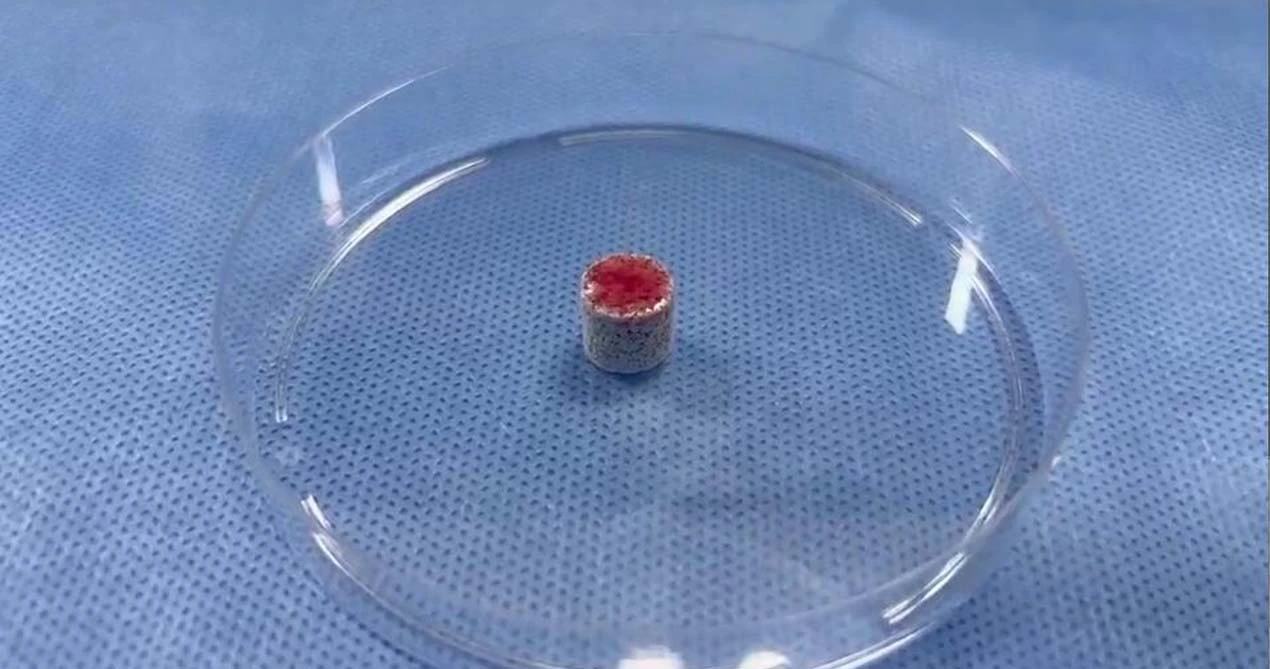 Vật liệu Ghép Xương